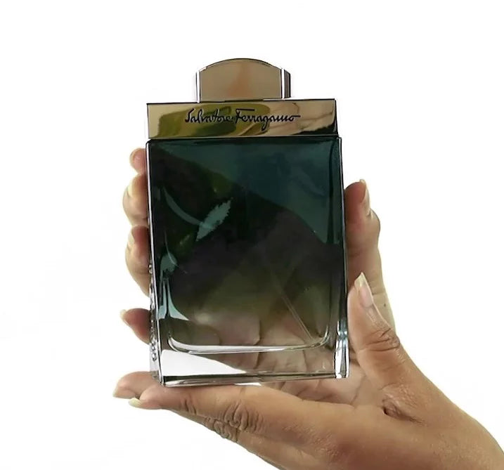 Salvatore Ferragamo Subtil pour Homme Eau de Toilette 3.4 fl oz *