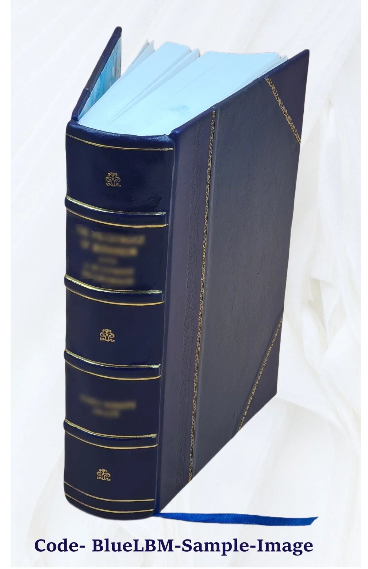 '- German Programmed Introduction - Student Text [Leather Bound]