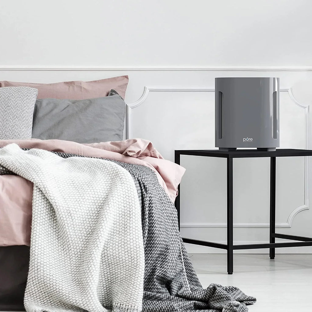 Bear Down Brands Pure Enrichment PureZone True  Air Purifier