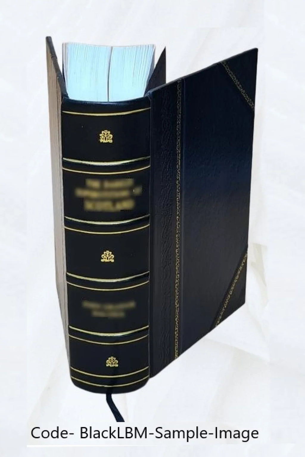 '- German Programmed Introduction - Student Text [Leather Bound]