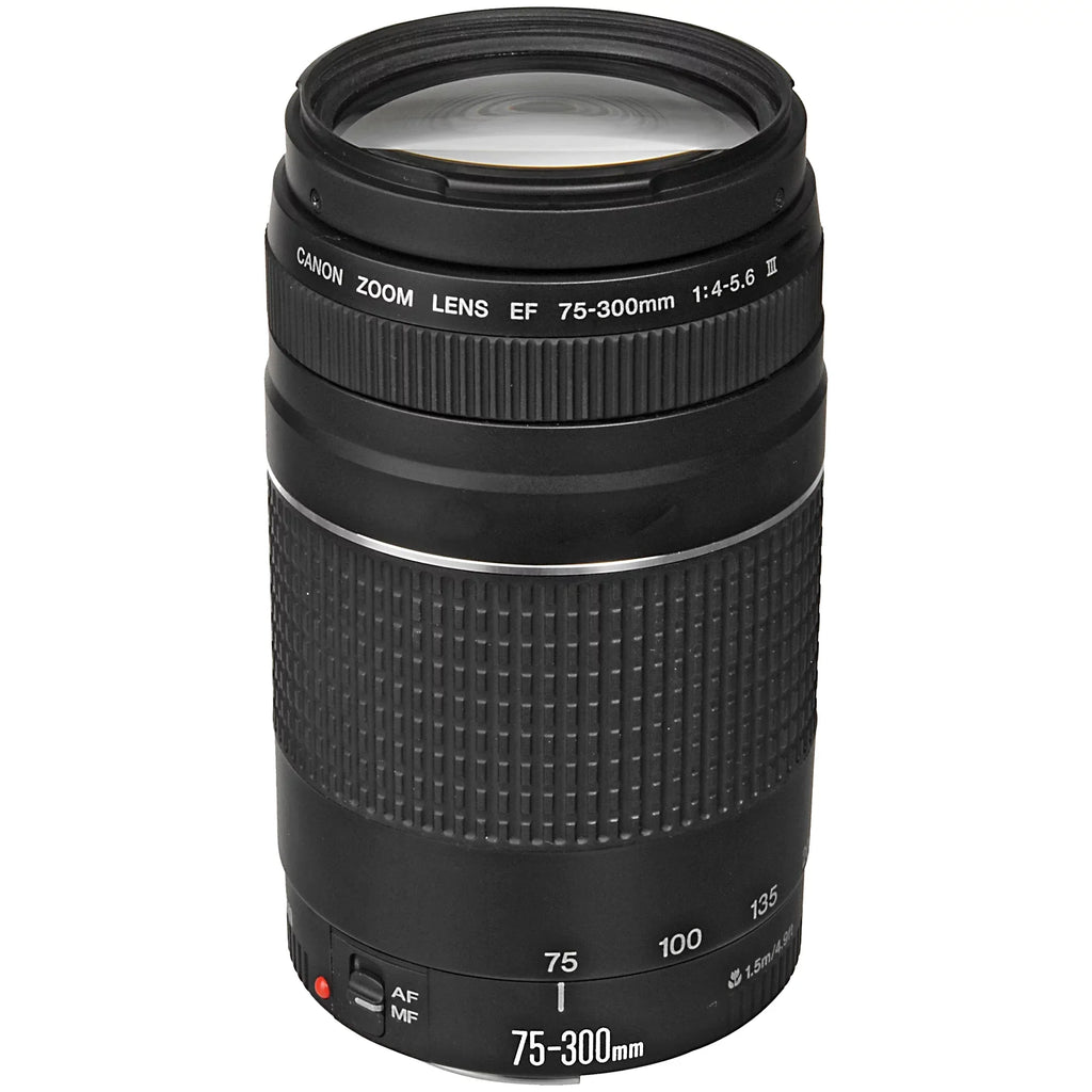 Canon  R5 Mirrorless Camera with RF24-105mm + 75-300mm Lens + Mount Adapter + 2 Pack SanDisk 32GB + ZeeTech Accessory