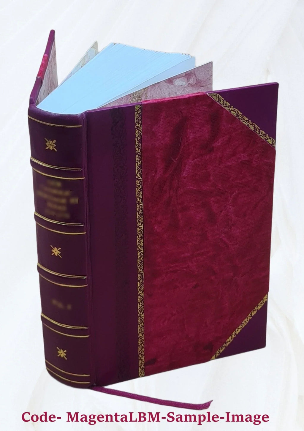 '- German Programmed Introduction - Student Text [Leather Bound]