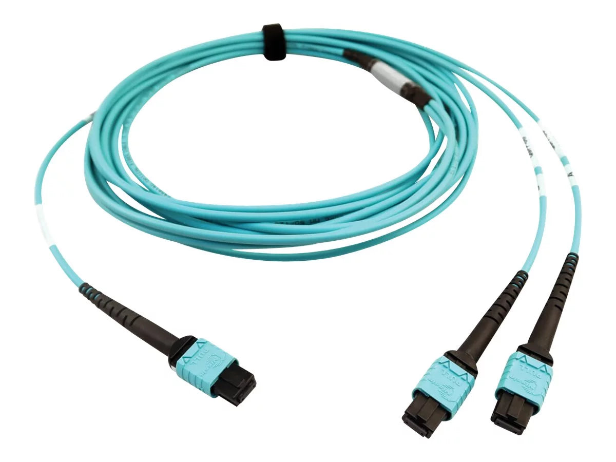 Eaton Tripp Lite Series 400G Multimode 50/125 OM4 Plenum Fiber Optic Cable, 24F /- to (x2) 12F /- (F/F), Aqua, 5 m - Network cable - // multi-mode (F) to // multi-mode (F) - 5 m - fiber optic - 50 / 125 micron - OM4 -