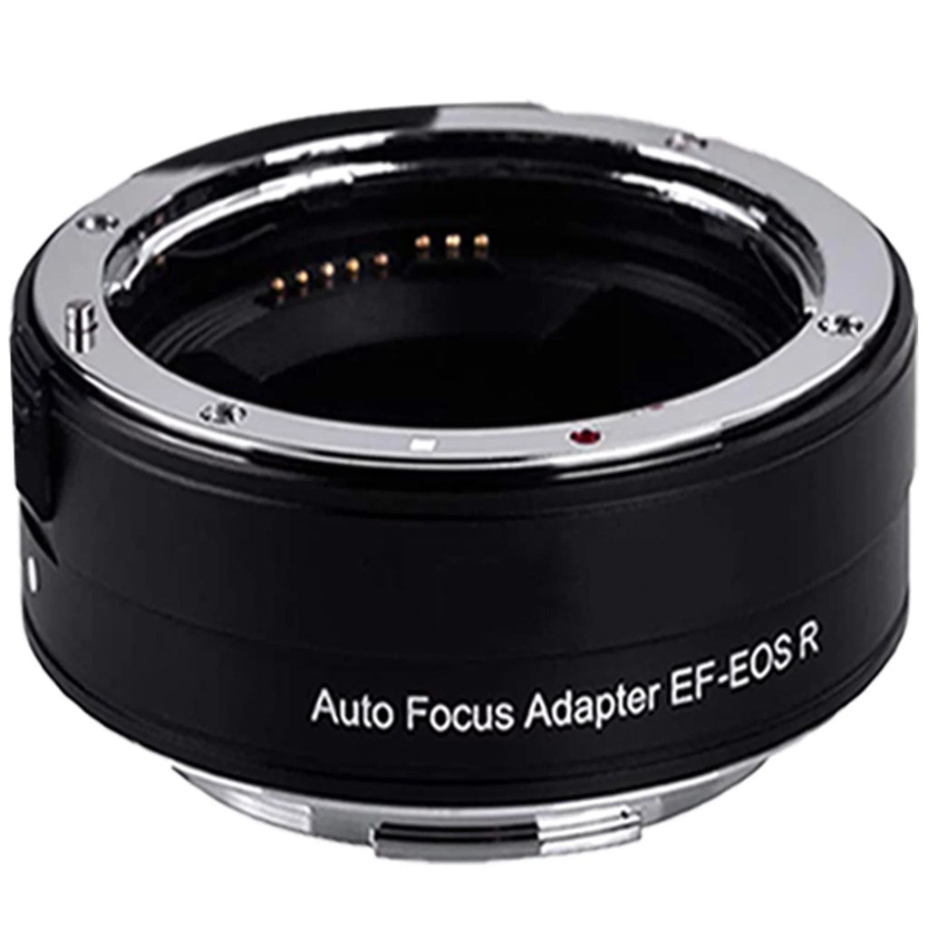 Canon  R5 Mirrorless Camera with RF24-105mm + 75-300mm Lens + Mount Adapter + 2 Pack SanDisk 32GB + ZeeTech Accessory