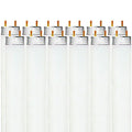 Luxrite F32T8/850 32W 48 Inch T8 Fluorescent Tube Light Bulb, 5000K Bright White, 2800 Lumens, G13 Medium Bi-Pin Base, LR20734, 12-Pack