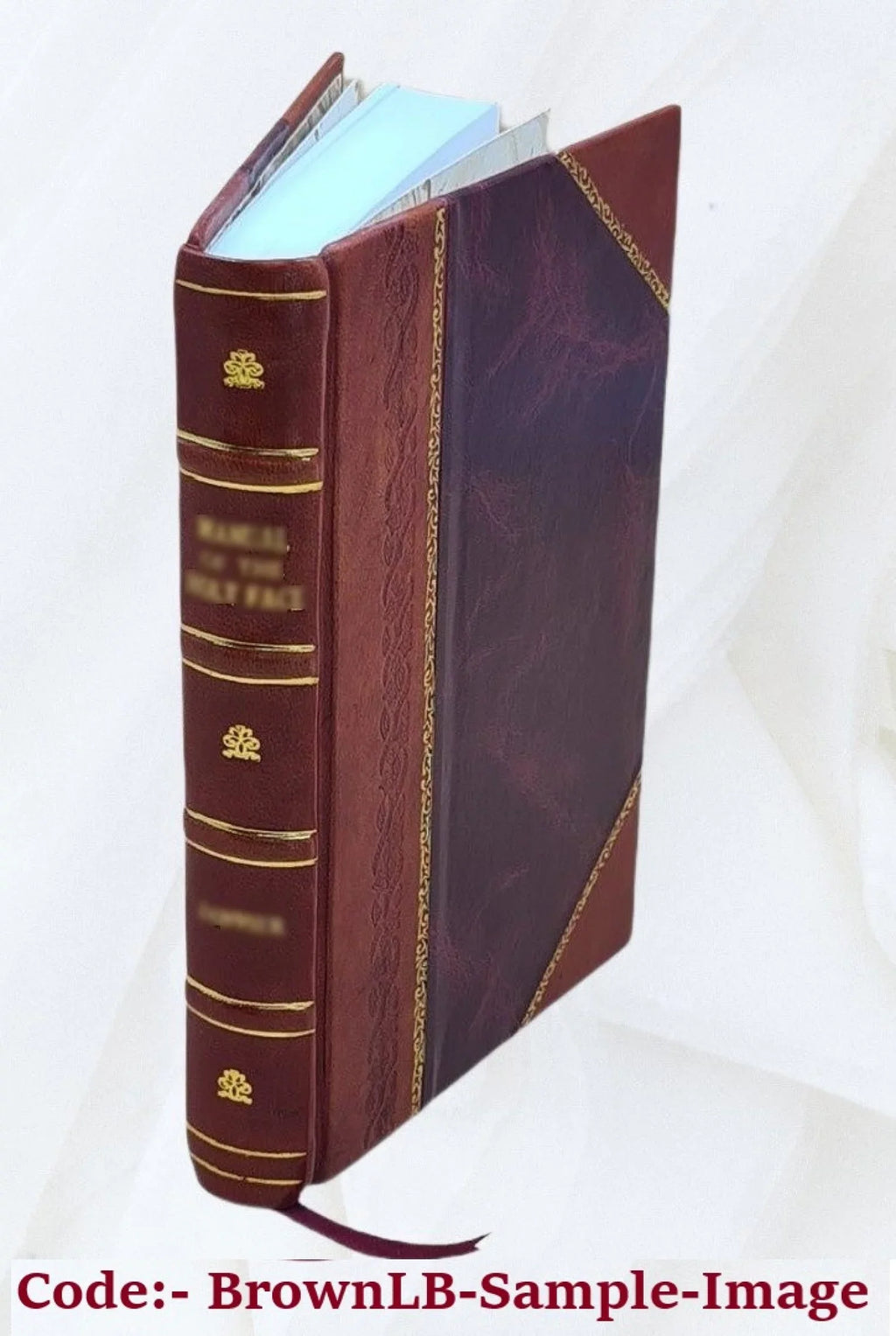 Maphaei s.r.e. card. Barberini nunc Vrbani . 8. Poemata [Leather Bound]