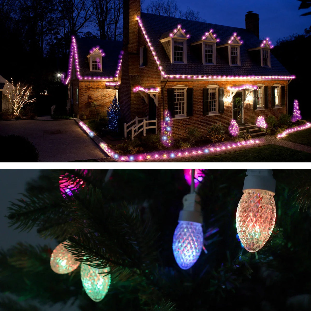 Eva's Light C9 Christmas Lights Outdoor, 23ft 20 Bulbs Color Changing  String Lights Waterproof