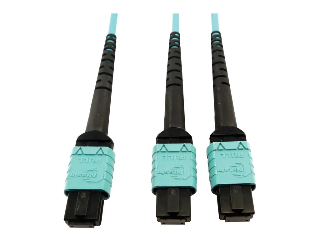 Eaton Tripp Lite Series 400G Multimode 50/125 OM4 Plenum Fiber Optic Cable, 24F /- to (x2) 12F /- (F/F), Aqua, 5 m - Network cable - // multi-mode (F) to // multi-mode (F) - 5 m - fiber optic - 50 / 125 micron - OM4 -