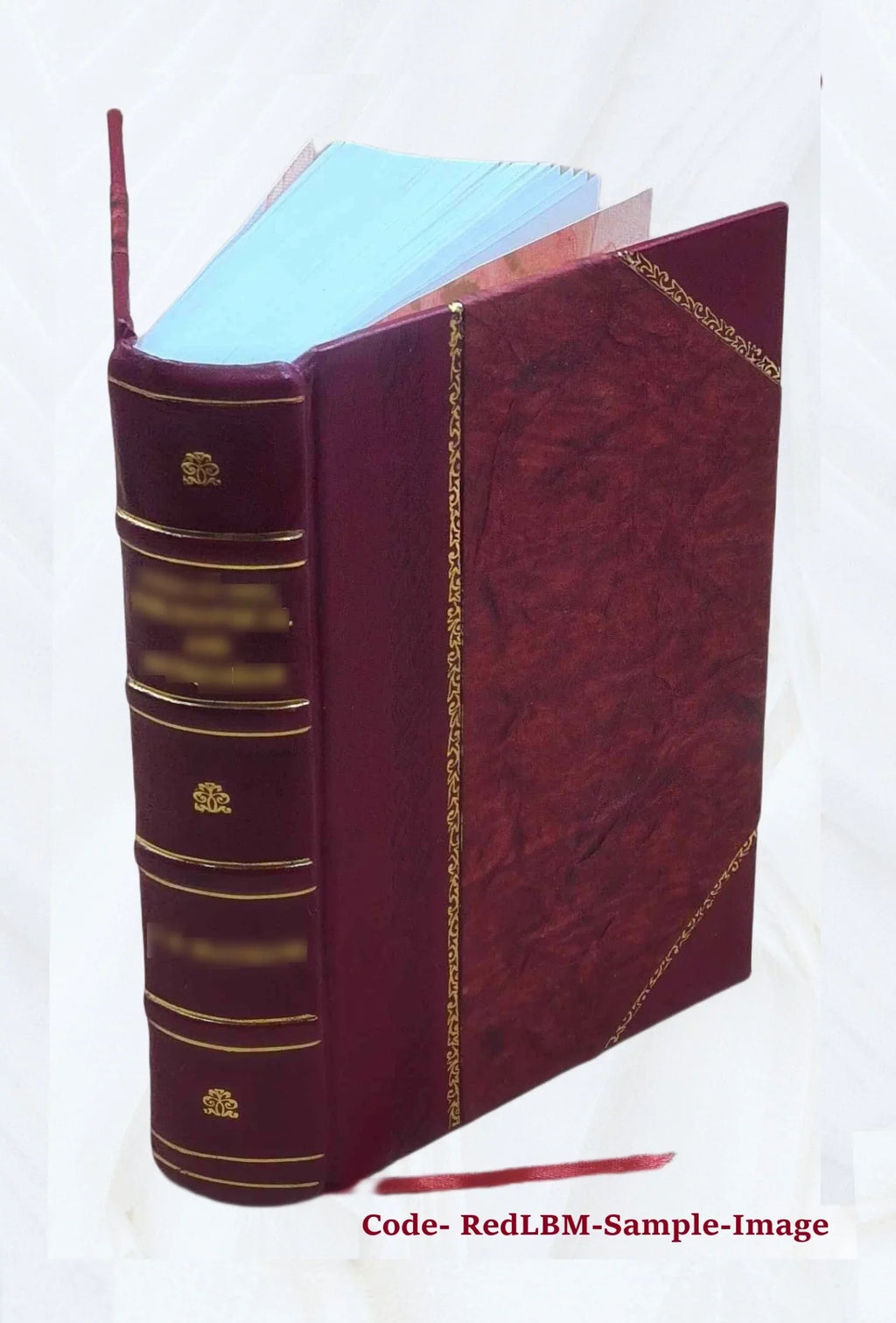'- German Programmed Introduction - Student Text [Leather Bound]