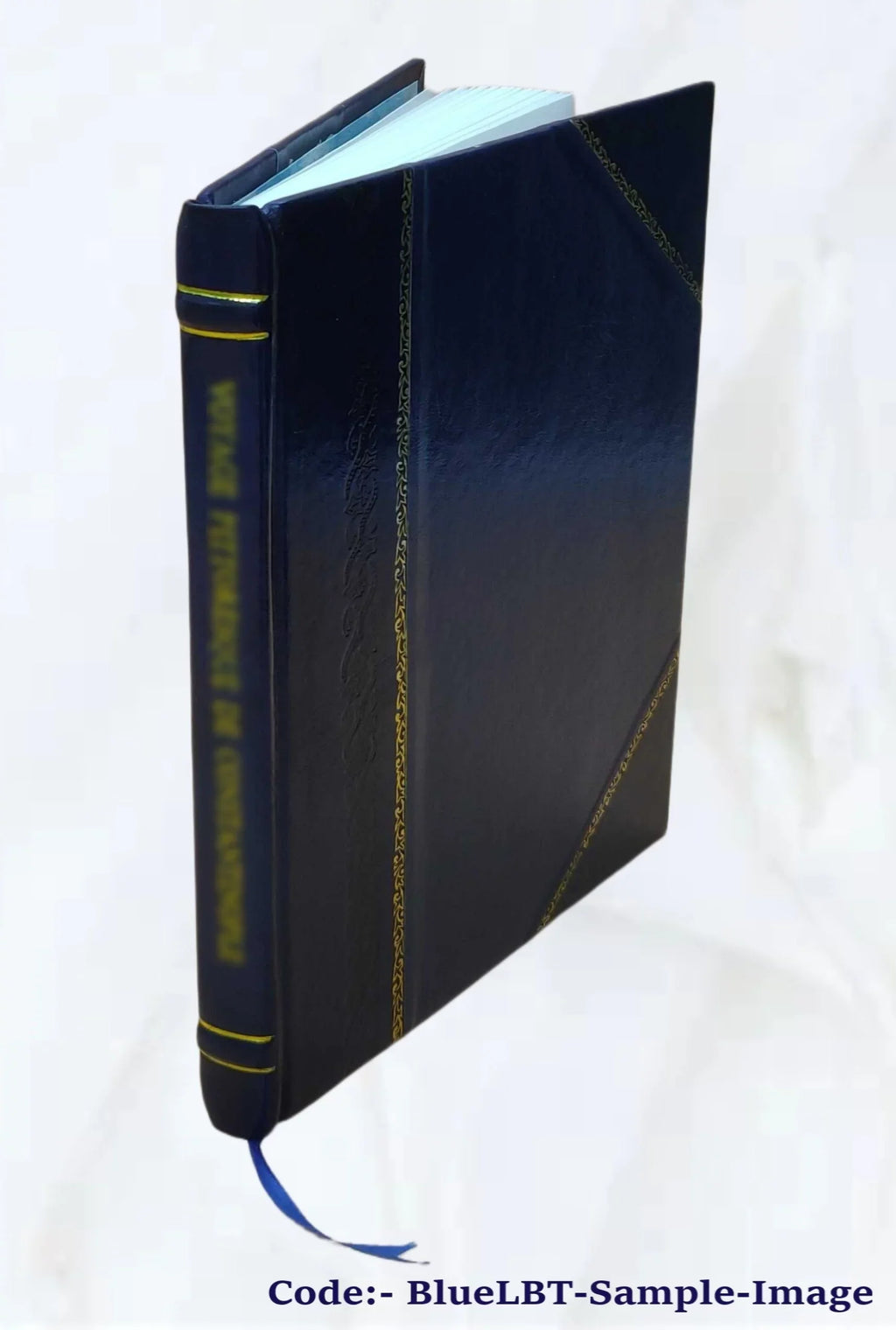 Otto Schneid Papers Photographs and Cards of Art Before 1939--Weingart Joachim. 20 11 [Leather Bound]