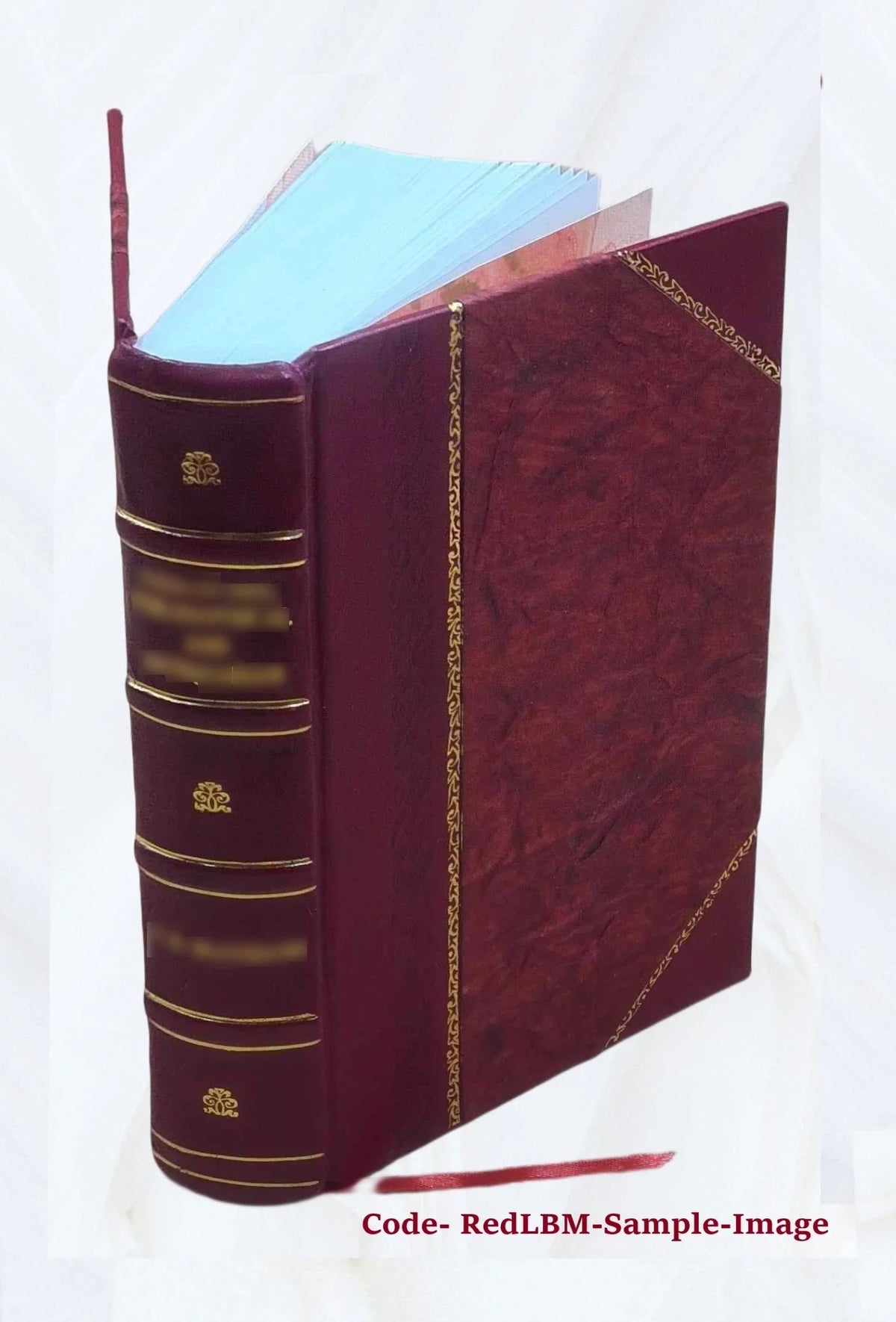 Joh. Christophori Wagenseilii De Sacri Rom. Imperii Libera Civitate Noribergensi commentatio : Accedit De Germaniae phonascorum, von der Meister-Singer, origine, praestantia, utili