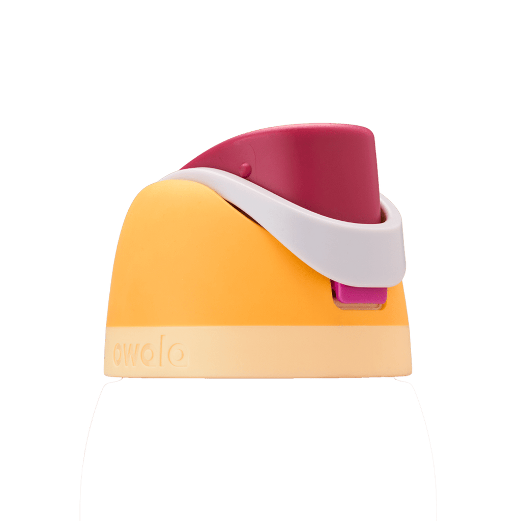 Brunch Bunch