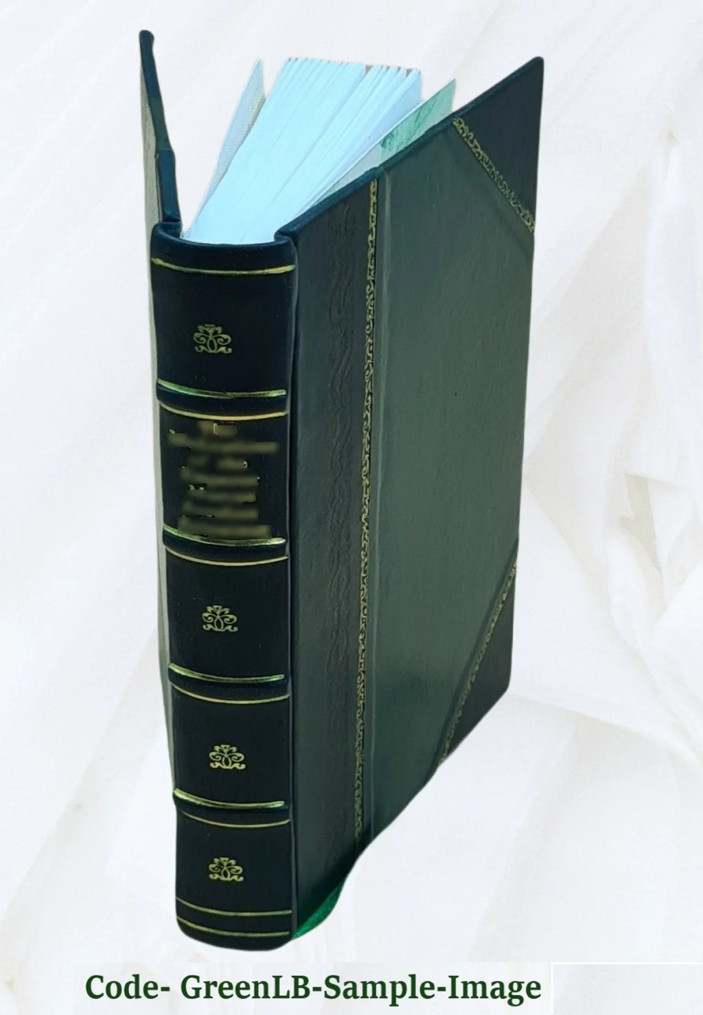 A descriptive guide to  training materials / developed by Trudy M. Hamby and Leroy Jones ; Catherine Kernen, editor ; H. Gene Wall, graphic artist. Volume 2 1977 [Leather Bound]