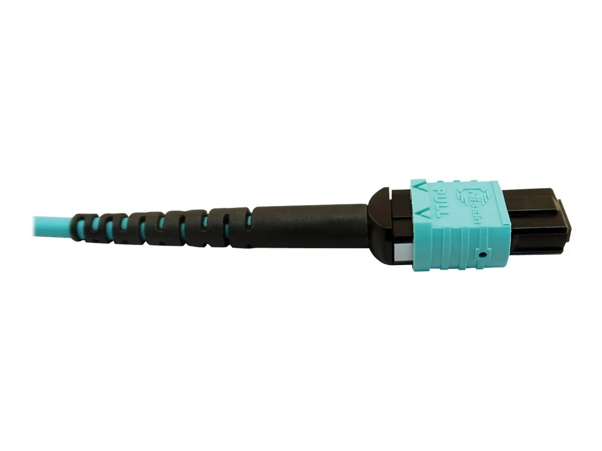 Eaton Tripp Lite Series 400G Multimode 50/125 OM4 Plenum Fiber Optic Cable, 24F /- to (x2) 12F /- (F/F), Aqua, 5 m - Network cable - // multi-mode (F) to // multi-mode (F) - 5 m - fiber optic - 50 / 125 micron - OM4 -
