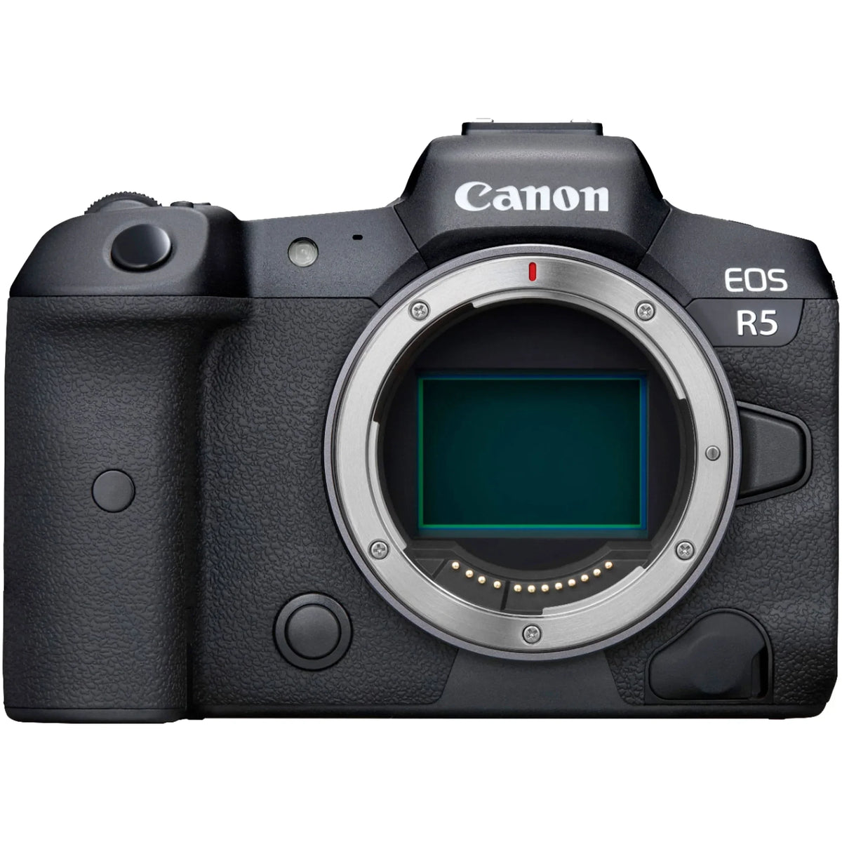Canon  R5 Mirrorless Camera with RF24-105mm + 75-300mm Lens + Mount Adapter + 2 Pack SanDisk 32GB + ZeeTech Accessory