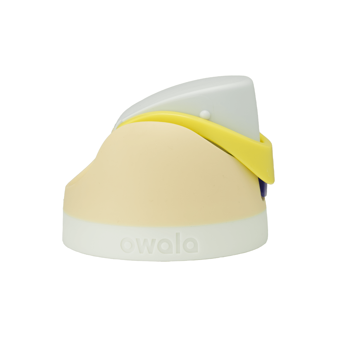 Brunch Bunch
