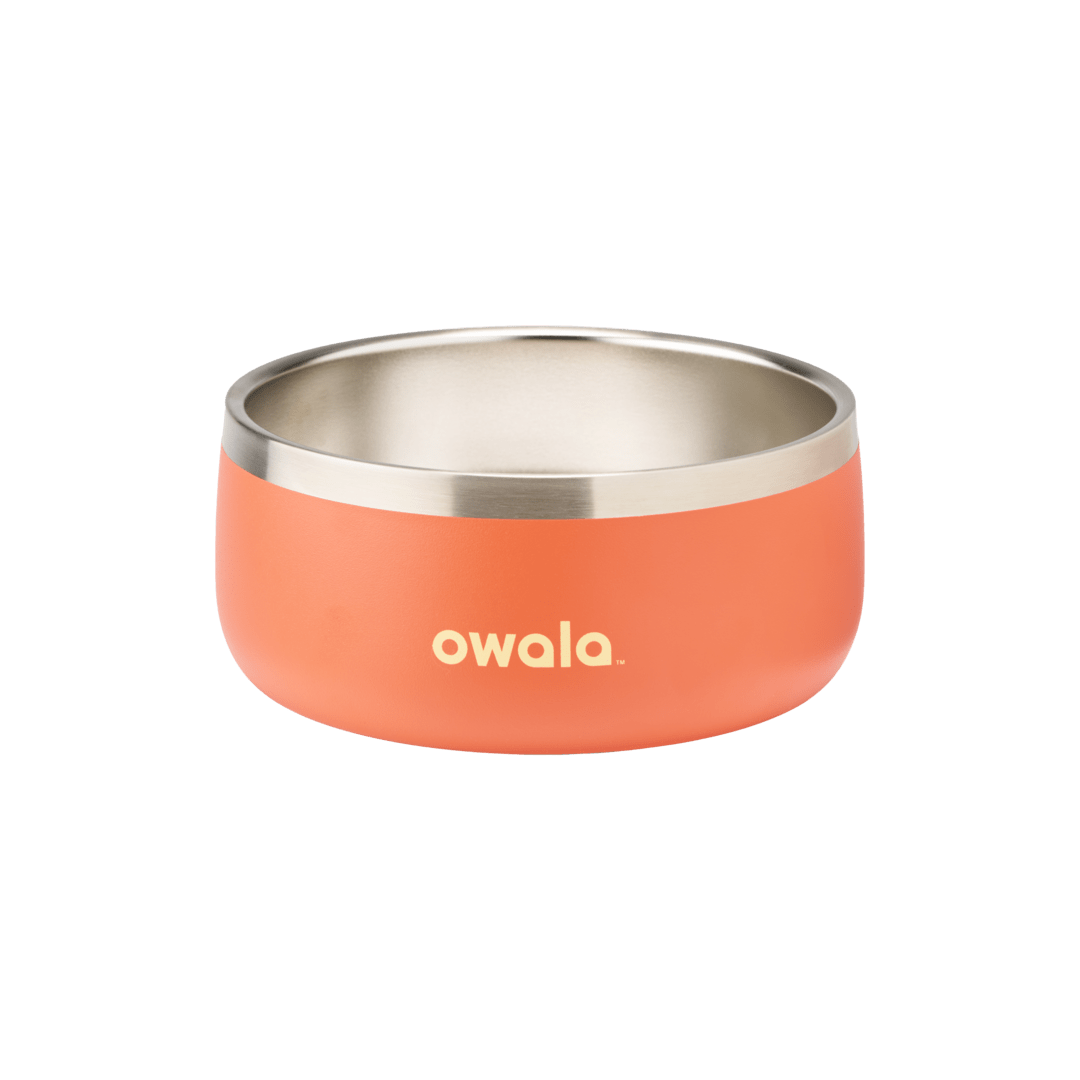 Pet Bowl - Second Set 39